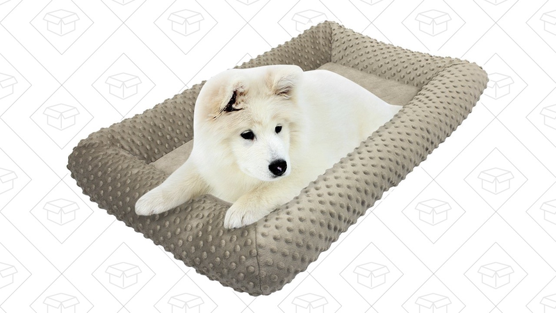 Dog Beds, $17 - $29